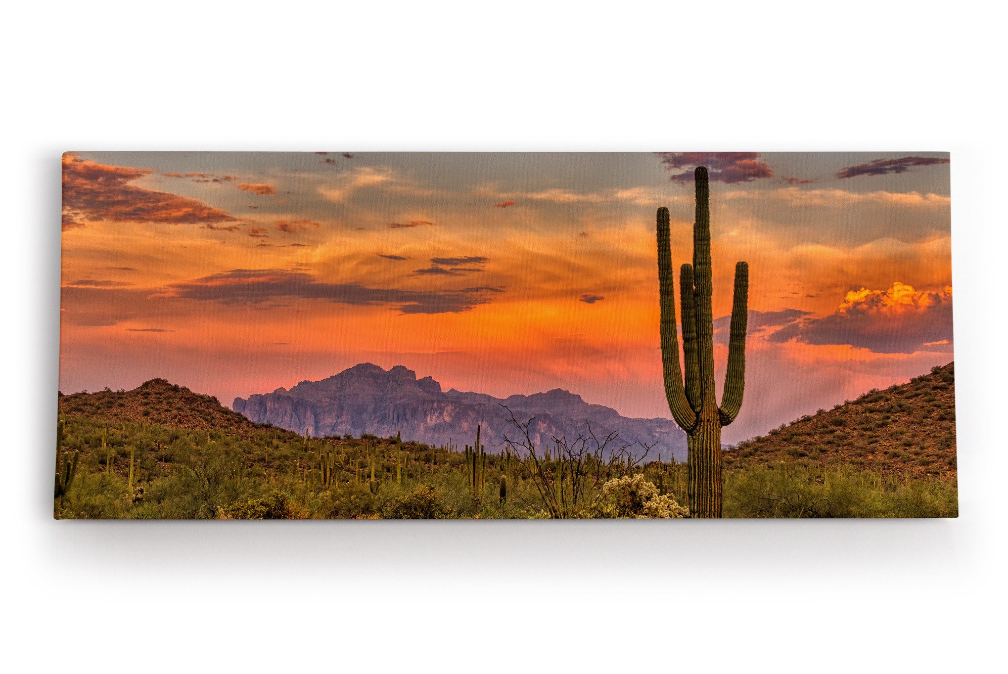 möbel-direkt.de Leinwandbild Mexikanische Landschaft Kaktus roter Himmel Sonnenuntergang
