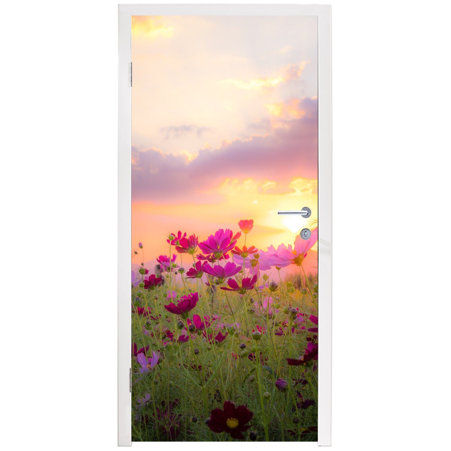 cm Türtapete 75x205 - Sonnenuntergang St), - Fototapete Rosa - Blumen Türaufkleber, für Matt, bedruckt, MuchoWow - Grün, (1 Natur Tür,