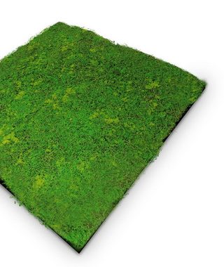 LEISTENHAMMER DER SOCKELLEISTEN SHOP Wandpaneel Wandpaneel Waldboden grün 52x52 Grüne Wand 3D Nature Wall Akustik Wall, BxL: 52x52 cm, 0.27 qm, (1-tlg) German Design Award 2024
