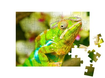 puzzleYOU Puzzle Makro-Nahaufnahme: buntes Chamäleon, 48 Puzzleteile, puzzleYOU-Kollektionen Chamäleons, Tiere in Dschungel & Regenwald