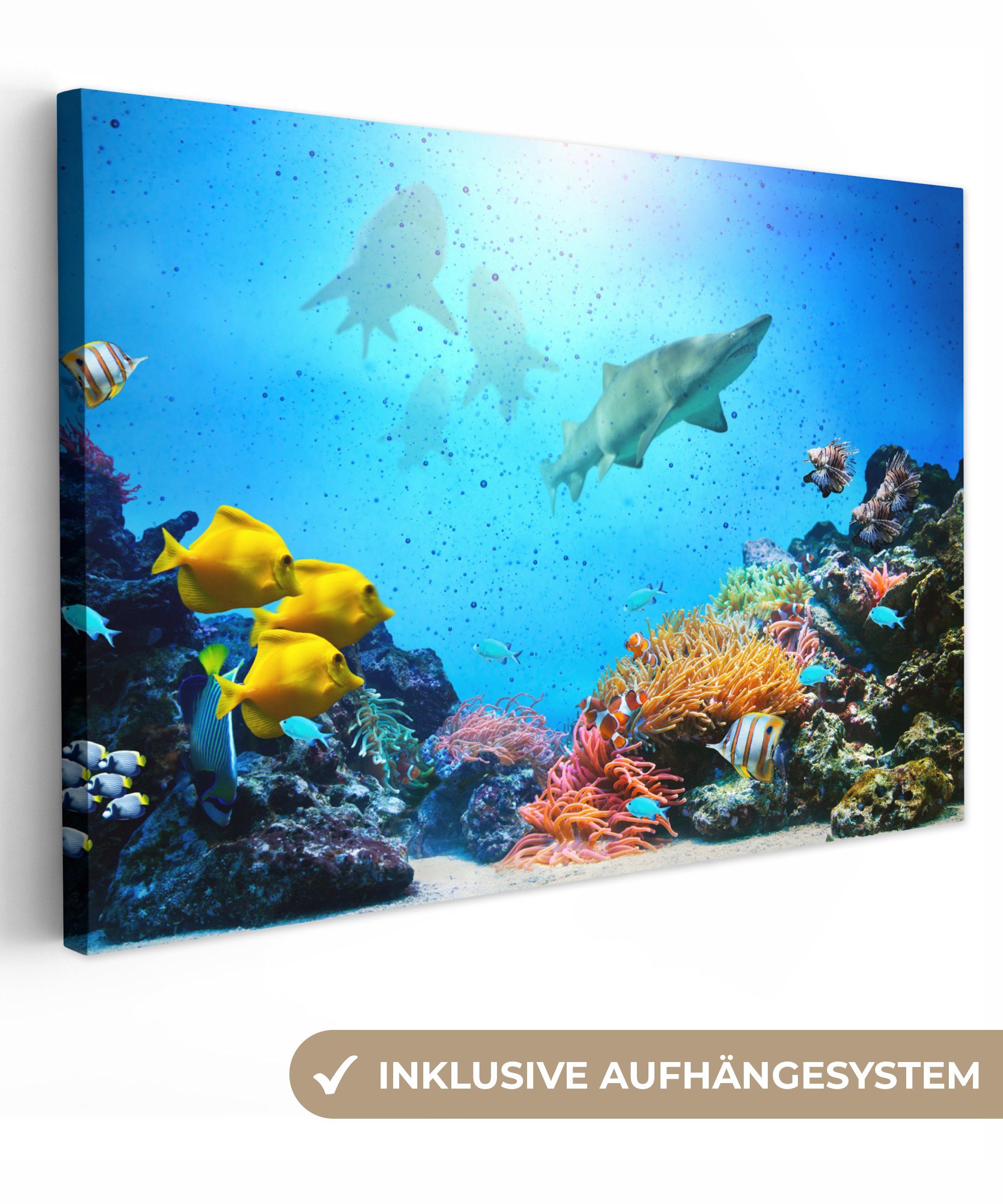 OneMillionCanvasses® Leinwandbild Meer - Fische - Korallen, (1 St), Wandbild Leinwandbilder, Aufhängefertig, Wanddeko, 30x20 cm