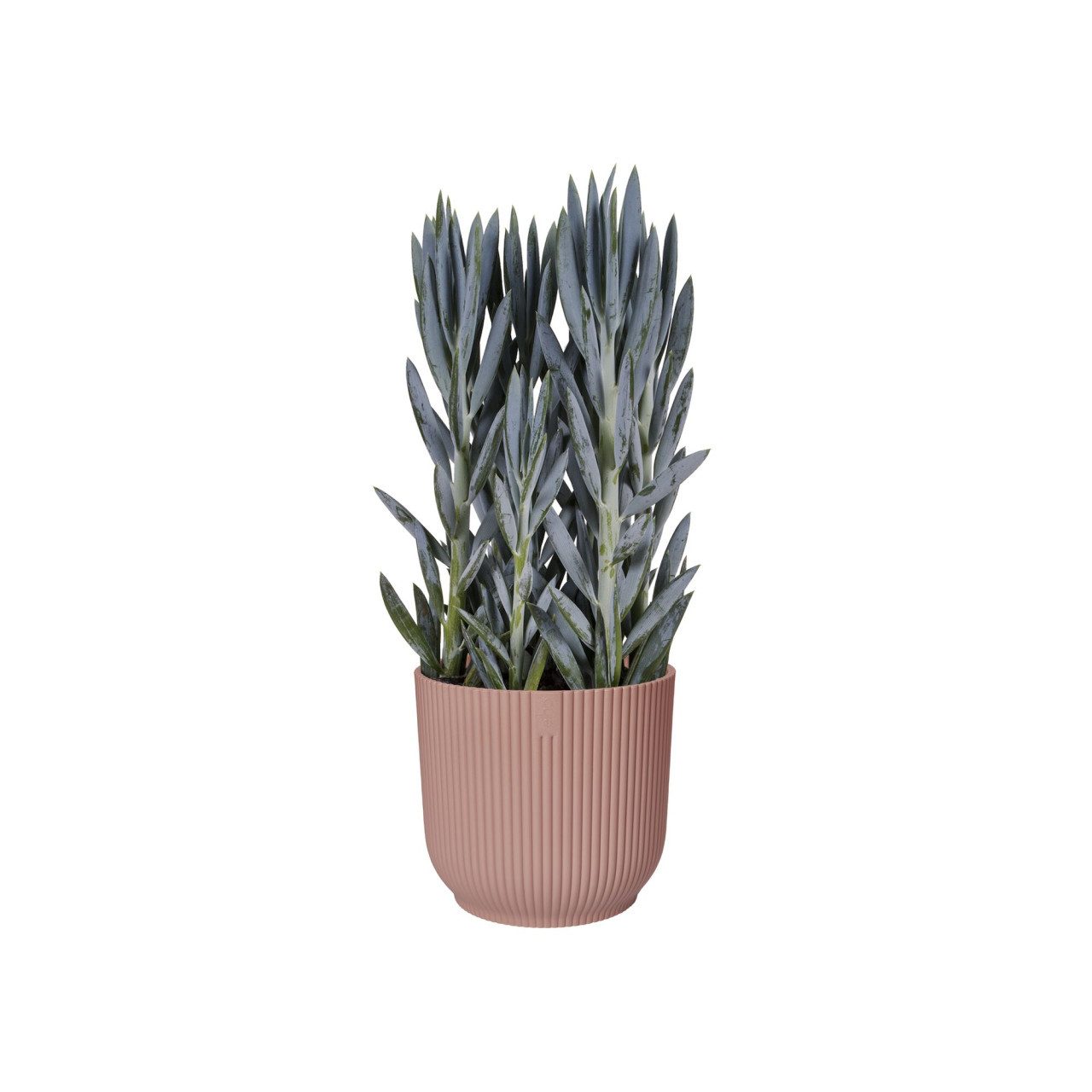 Elho Blumentopf Elho Blumentopf Vibes Fold günstig online kaufen