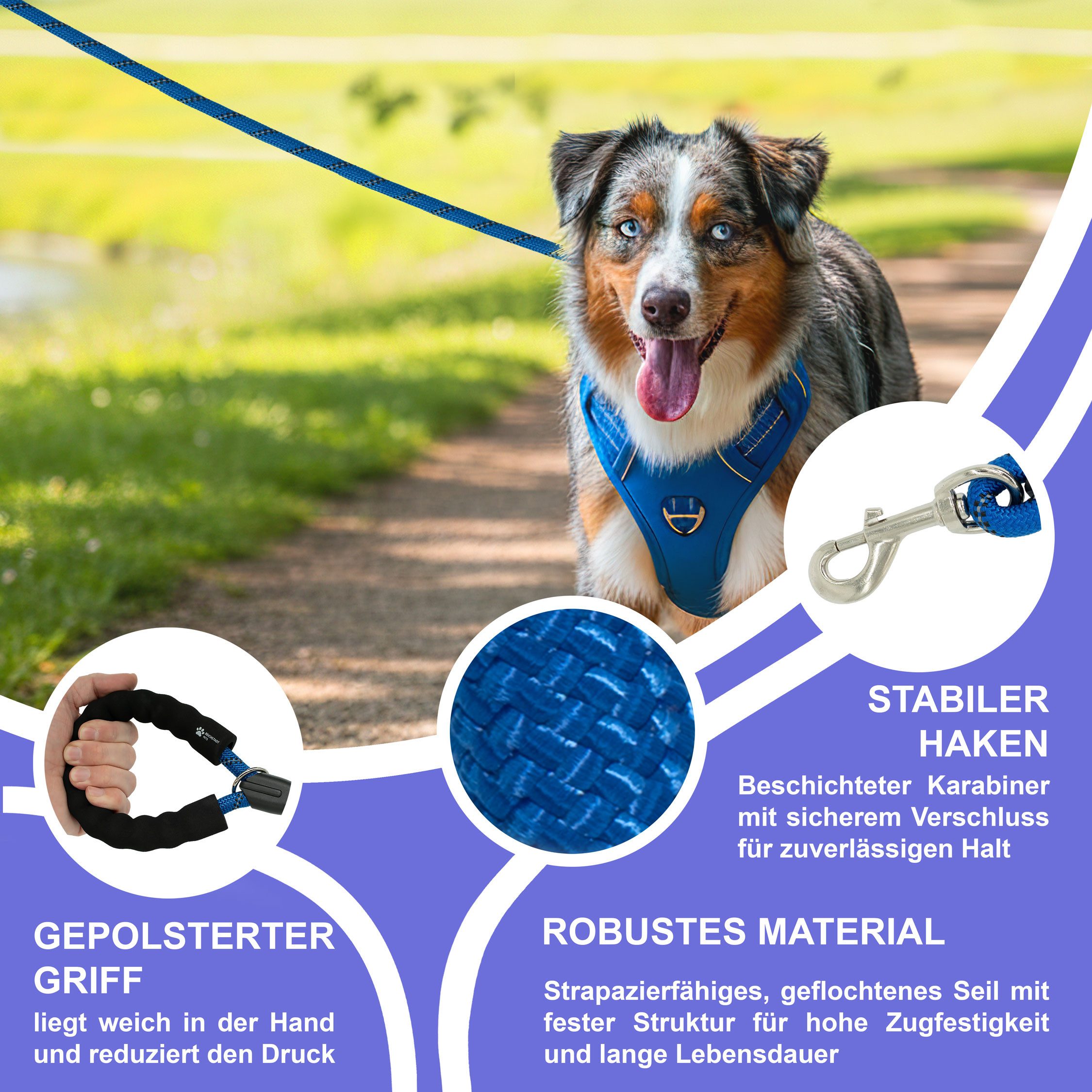 Reichstadt Hundeleine RS Pets Führleine Nylon 25RSP084, Nylon, Ergonomischer EVA-gepolsterter Griff für Blasenschutz