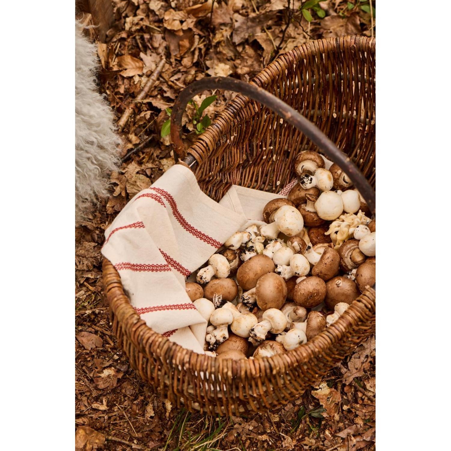 Ib Laursen Servierschale Ib Laursen Korb geflochten oval Weide ungeschält (37x44x54cm)