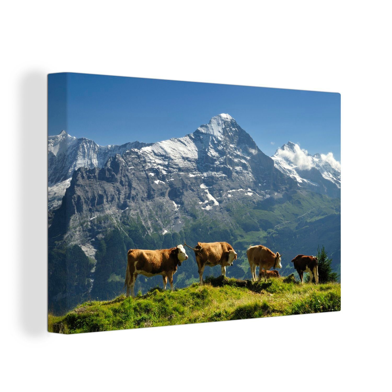 OneMillionCanvasses® Leinwandbild Blick auf den Eiger im Grindelwaldtal in der Schweiz, (1 St), Wandbild Leinwandbilder, Aufhängefertig, Wanddeko, 30x20 cm