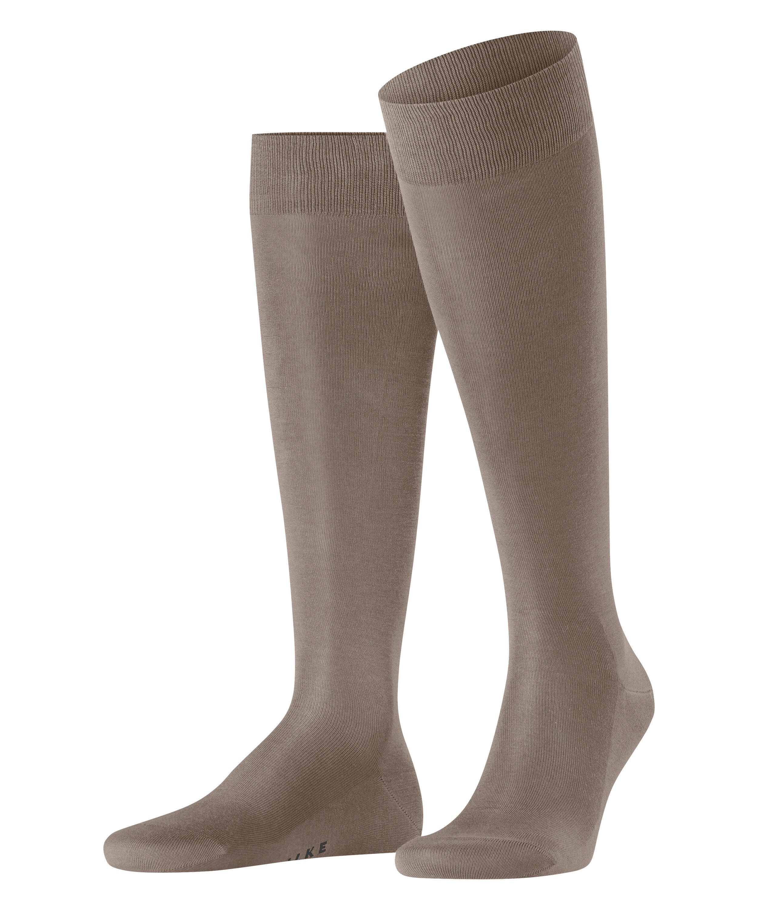 nutmeg (5415)