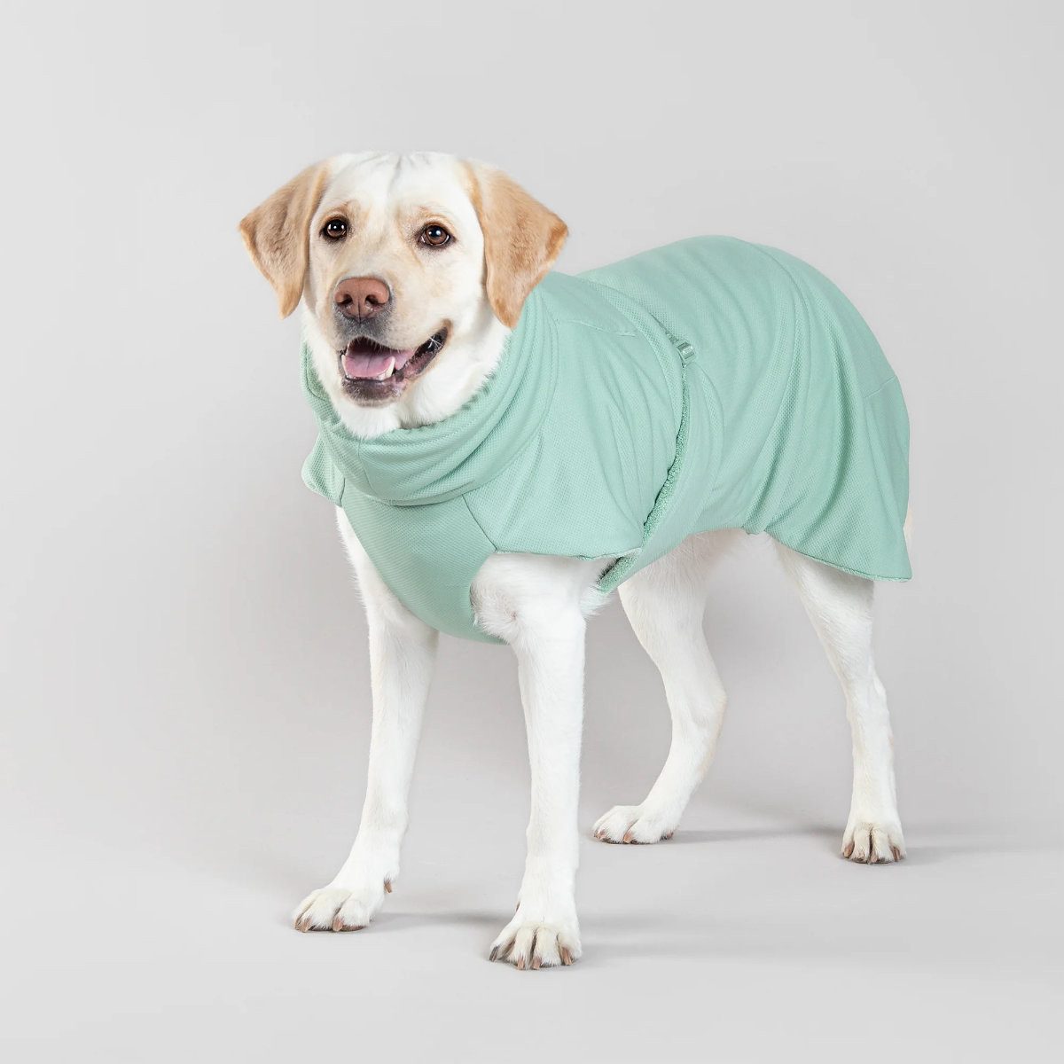 PAIKKA Hundebademantel Hunde Bademantel "Drying Coat Spa salbei