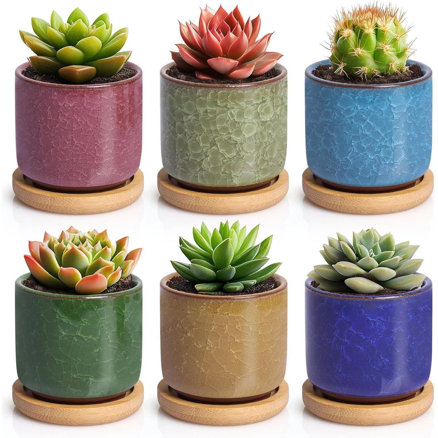 LuxusKollektion Blumentopf Keramik Sukkulenten Töpfe Mini Blumentöpfe Höher Serie 6 Farben Set