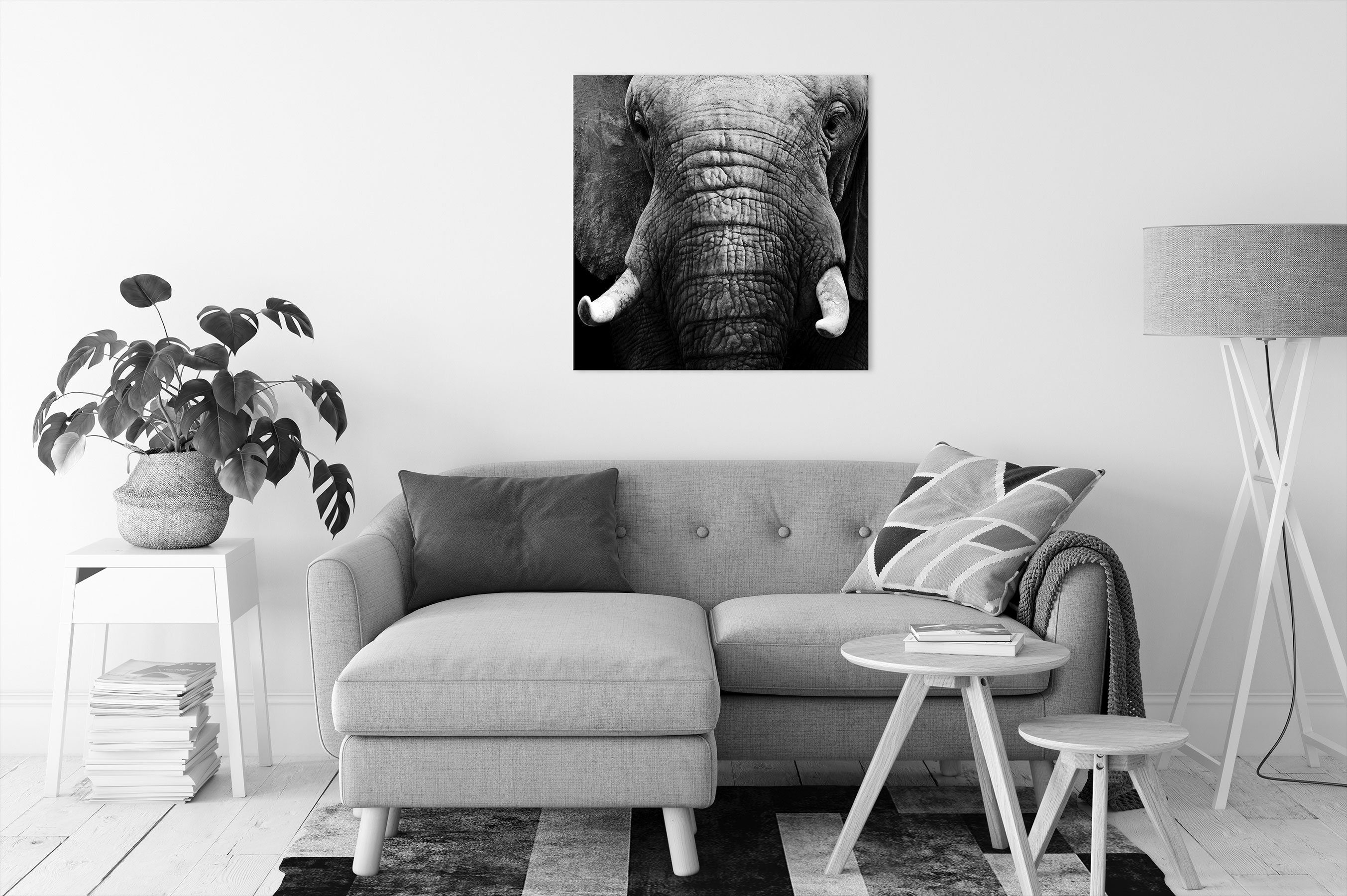 Pixxprint Leinwandbild Elefant Porträt, Elefant Zackenaufhänger Porträt (1 St), Leinwandbild bespannt, inkl. fertig