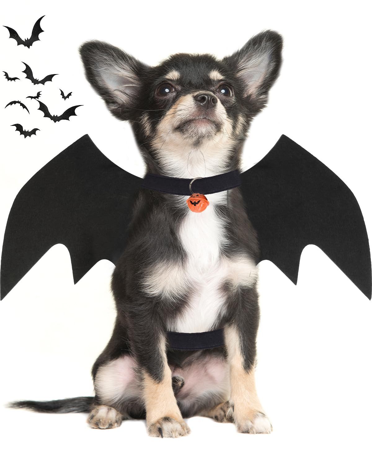 Srvillg Hundekostüm Halloween-Kostüm für kleine Hunde, Fledermausflügel mit Kürbisglocke, Halloween-Kostüm für Hunde und Katzen, Party-Dekoration