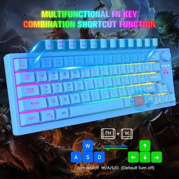 ZIYOU LANG RGB-Hintergrundbeleuchtung Tastatur- und Maus-Set, Die ergonomische Tastenhöhe reduziert Ermüdung,19-Tasten Anti-Ghosting
