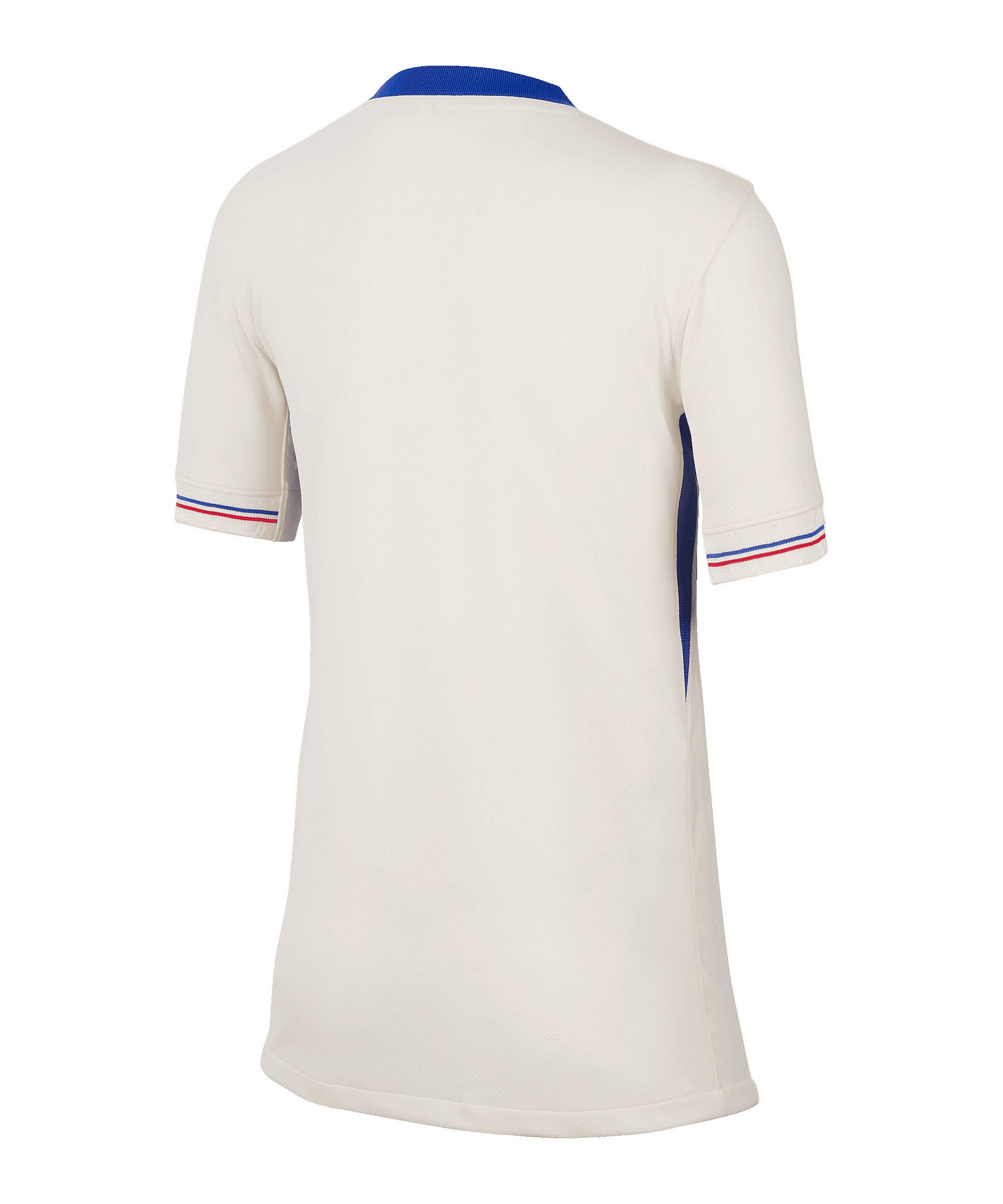 Nike Fußballtrikot Nike Performance Teamsport