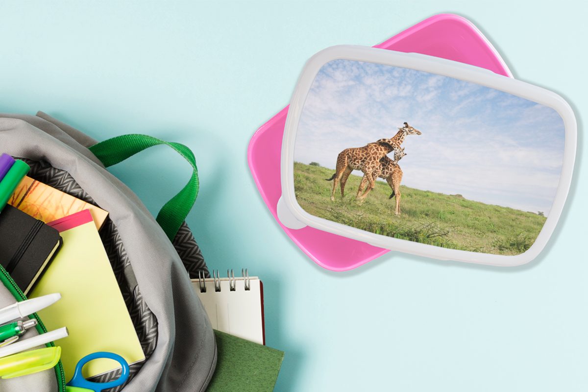 Kinder, Kunststoff kuscheln, Kunststoff, Lunchbox Brotbox Erwachsene, (2-tlg), Zwei rosa Snackbox, MuchoWow für Mädchen, Brotdose Giraffen