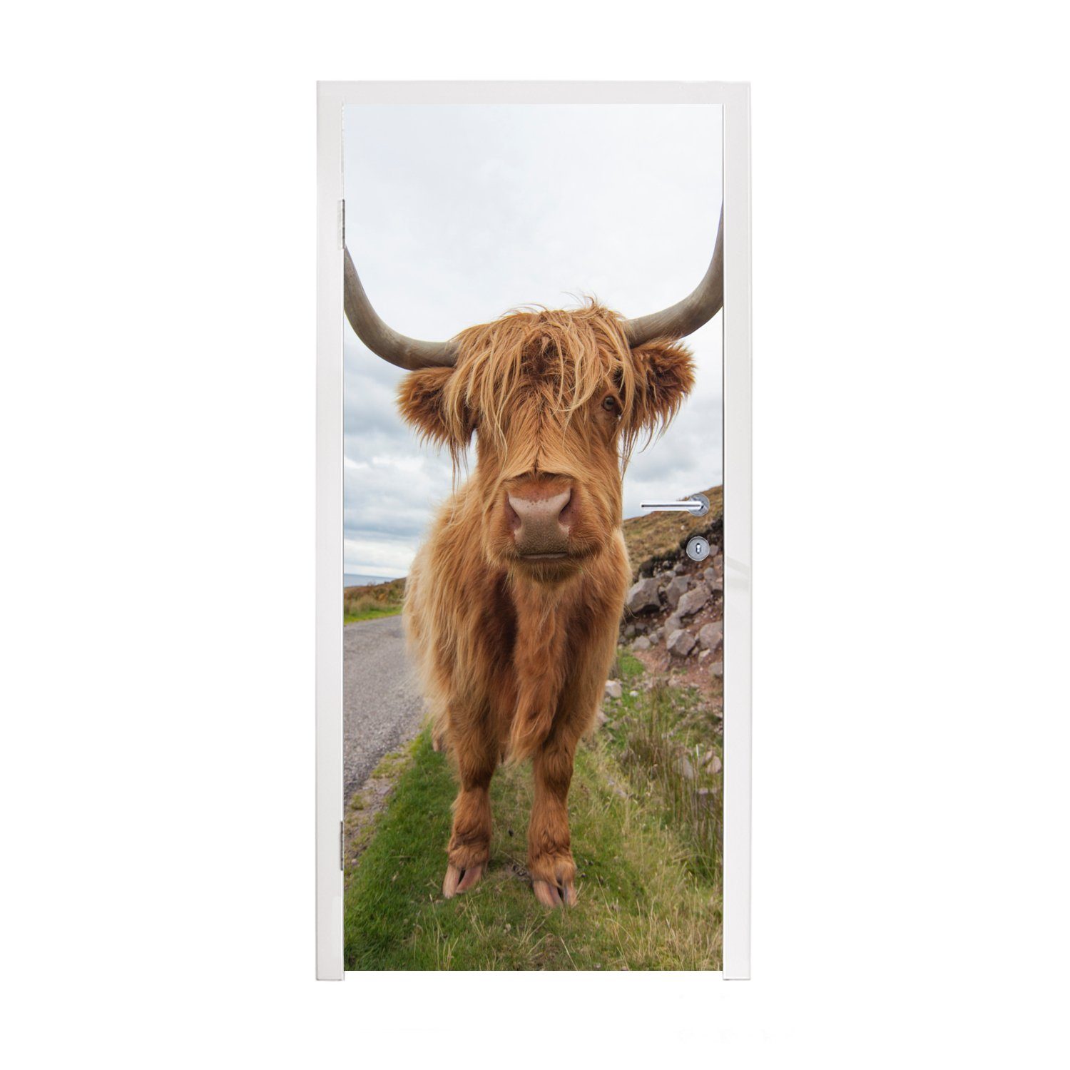MuchoWow Türtapete Schottischer Hochländer - Kuh - Landschaft, Matt, bedruckt, (1 St), Fototapete für Tür, Türaufkleber, 75x205 cm