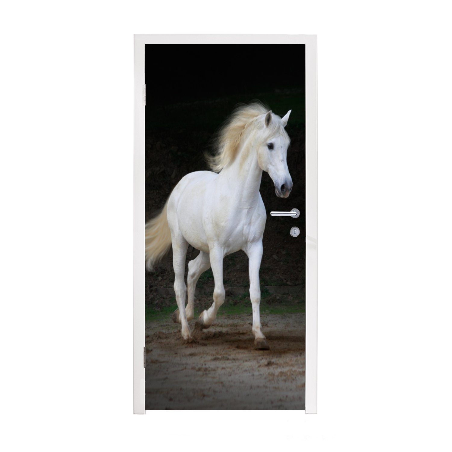 MuchoWow Türtapete Pferde - Sand - Dunkel, Matt, bedruckt, (1 St), Fototapete für Tür, Türaufkleber, 75x205 cm