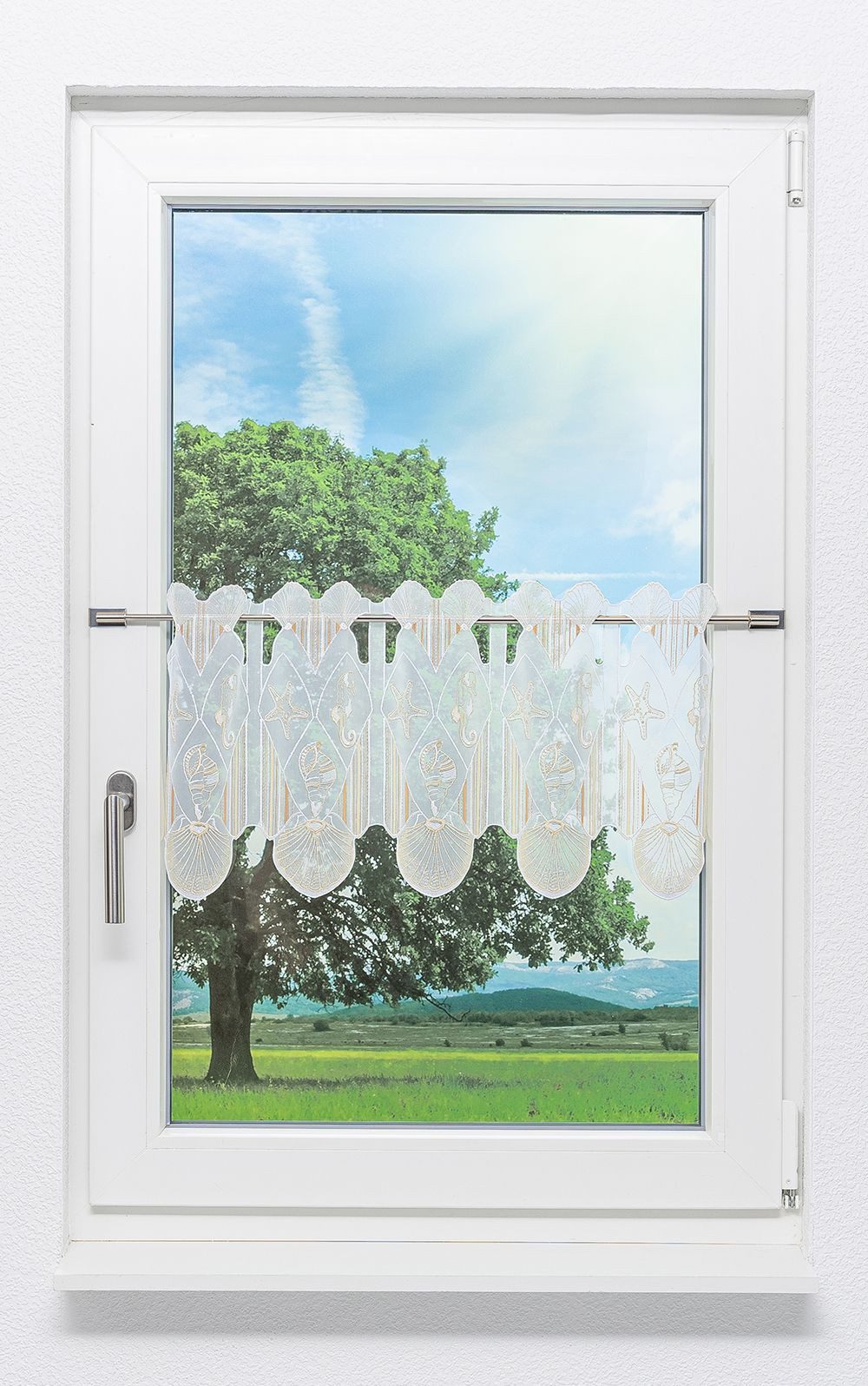 Plauener Spitze® Scheibengardine Perlmuscheln (1 St), transparent, HxB 30x48.9cm