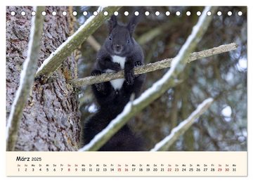 CALVENDO Wandkalender Oachkatzl (Tischkalender 2025 DIN A5 quer), CALVENDO Monatskalender