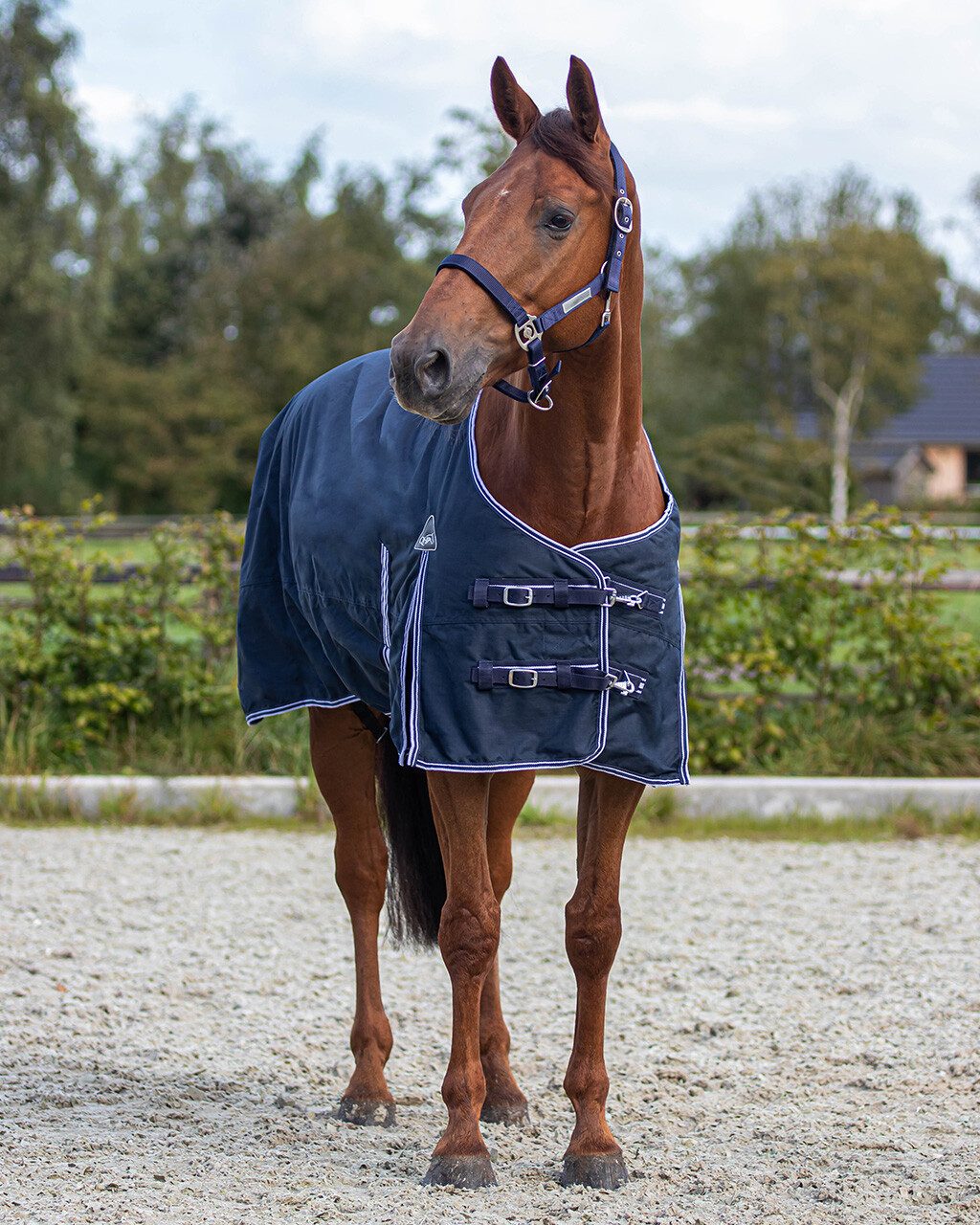 QHP Pferde-Regendecke Regendecke Turnout Luxus 0gr