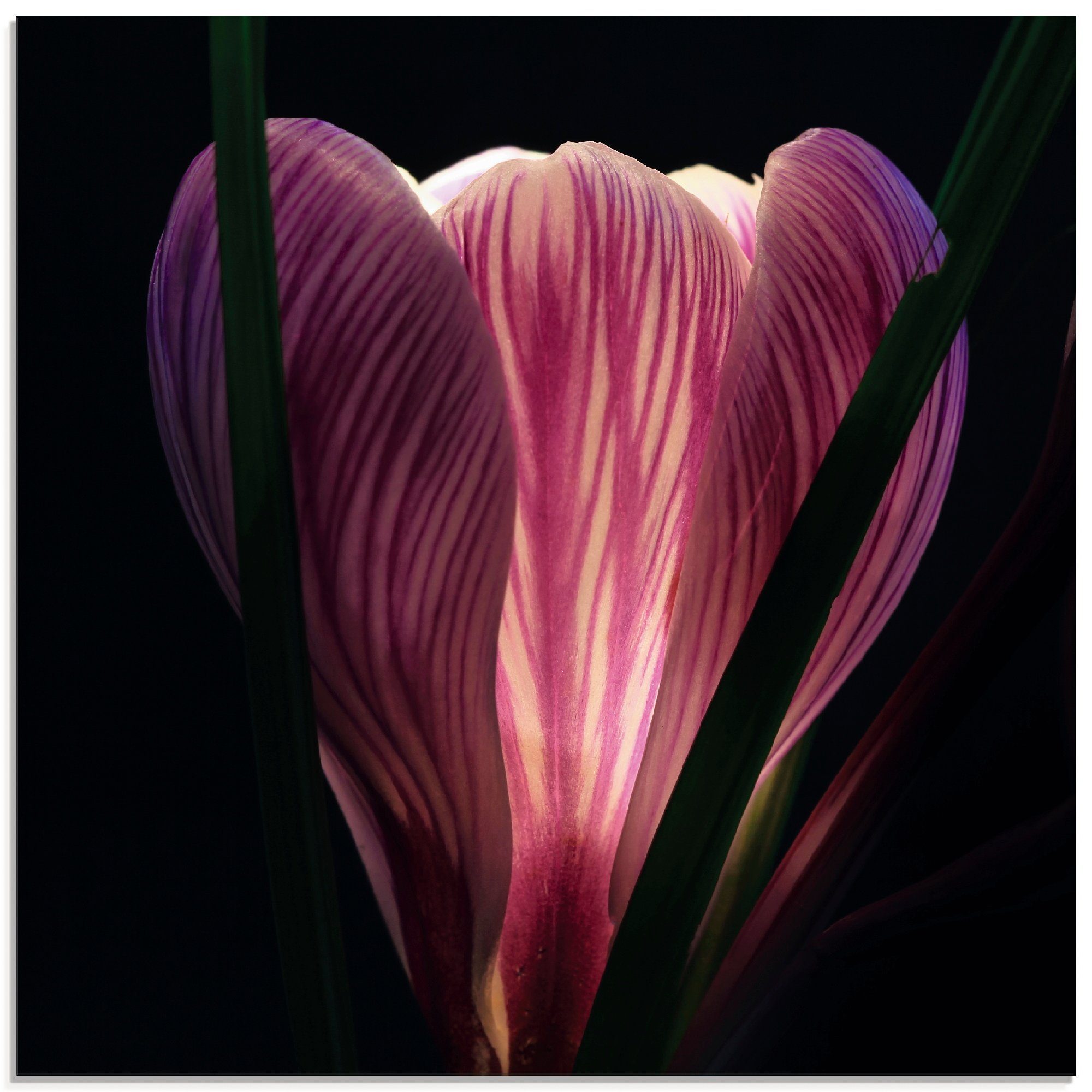 St), Beleuchtet, (1 Glasbild in Artland Blumen verschiedenen Größen