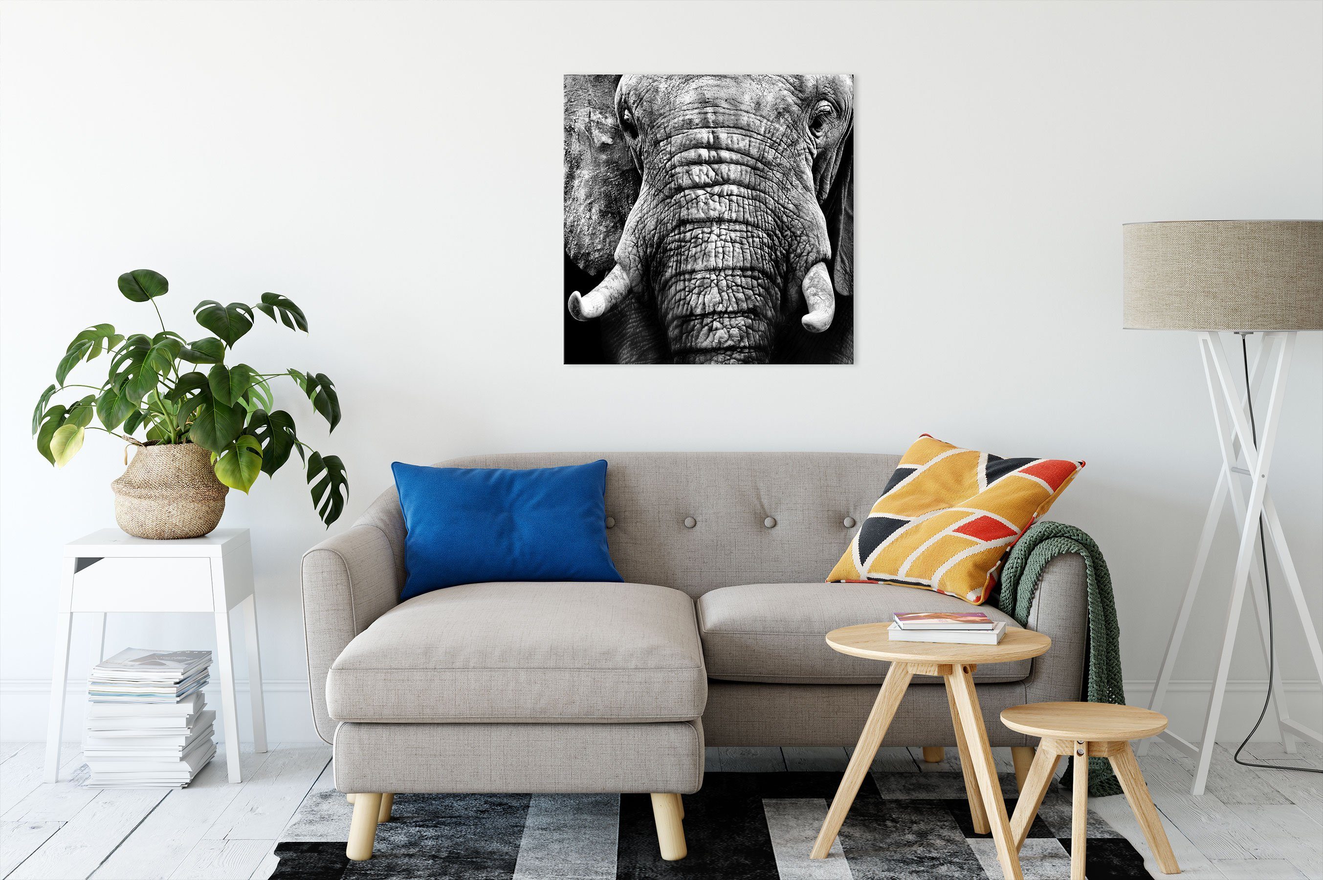 (1 Zackenaufhänger Porträt, Elefant Elefant fertig Porträt Pixxprint Leinwandbild inkl. St), bespannt, Leinwandbild