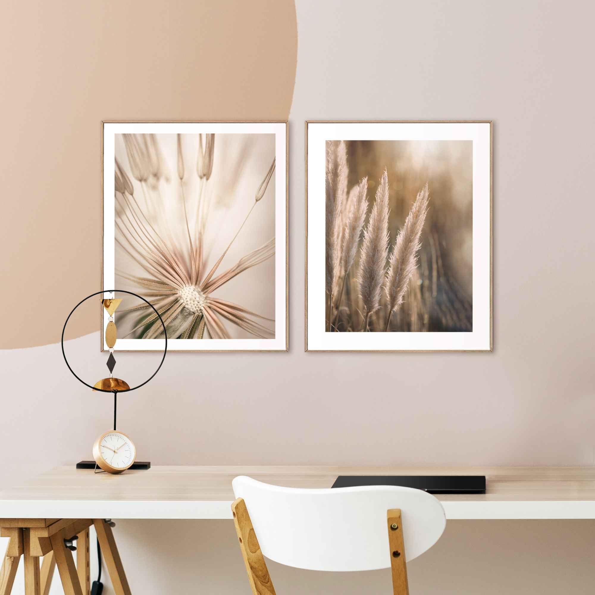 Reinders! Wandbild - (2 Löwenzahn St) Pampas Nahaufnahme, - - Botanisch Natur