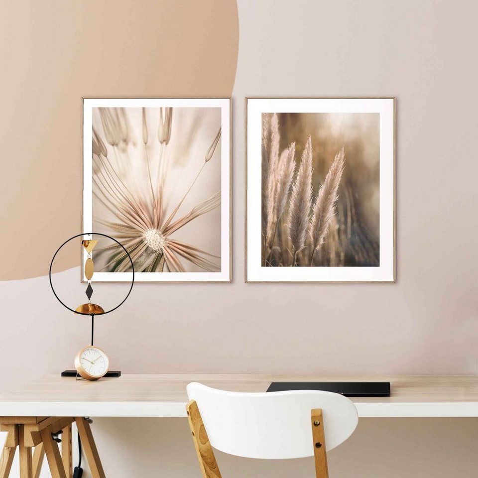 Reinders! Wandbild Natur Botanisch - Pampas - Löwenzahn - Nahaufnahme, (2 St )