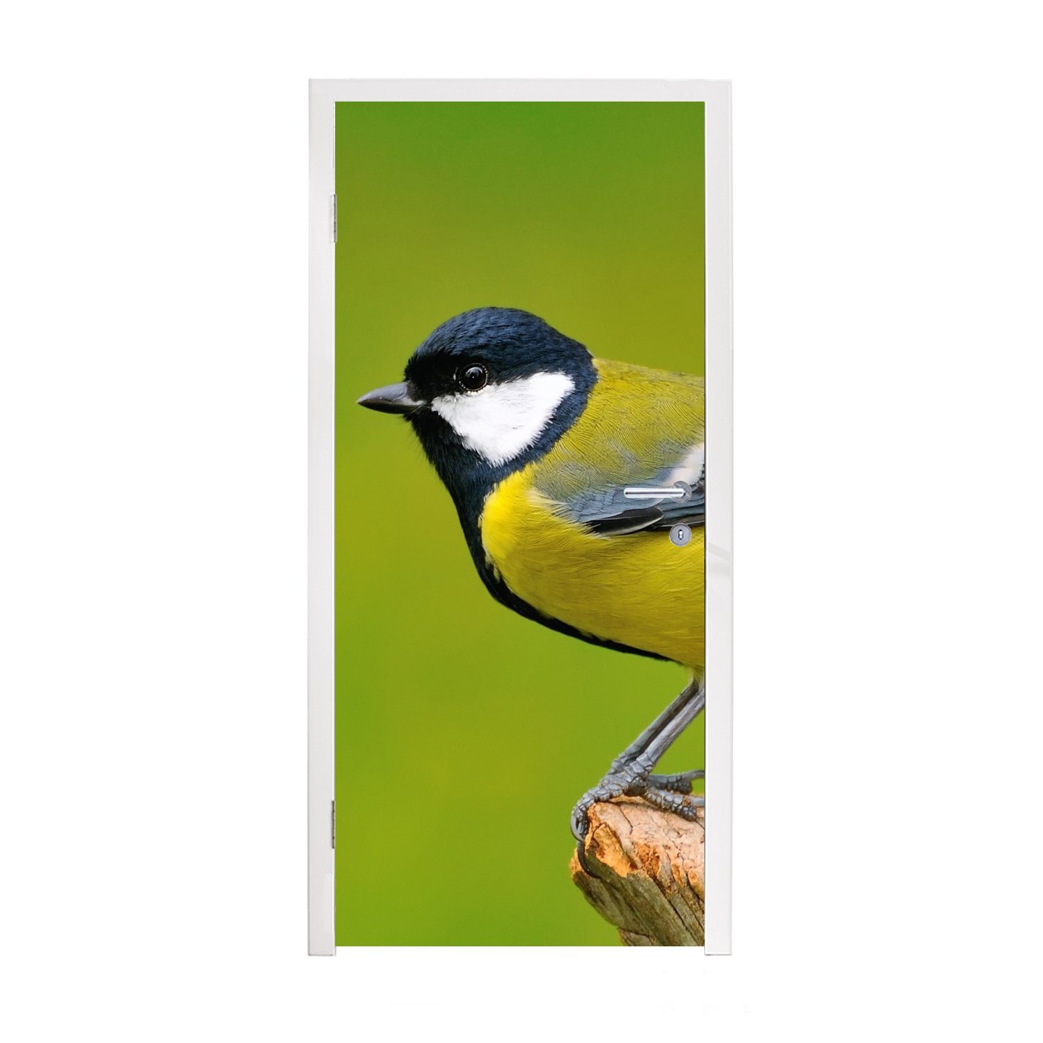 für bedruckt, Grün, Fototapete Tiere Kohlmeise St), MuchoWow Matt, (1 Türtapete Vogel Türaufkleber, Tür, - 75x205 cm - -