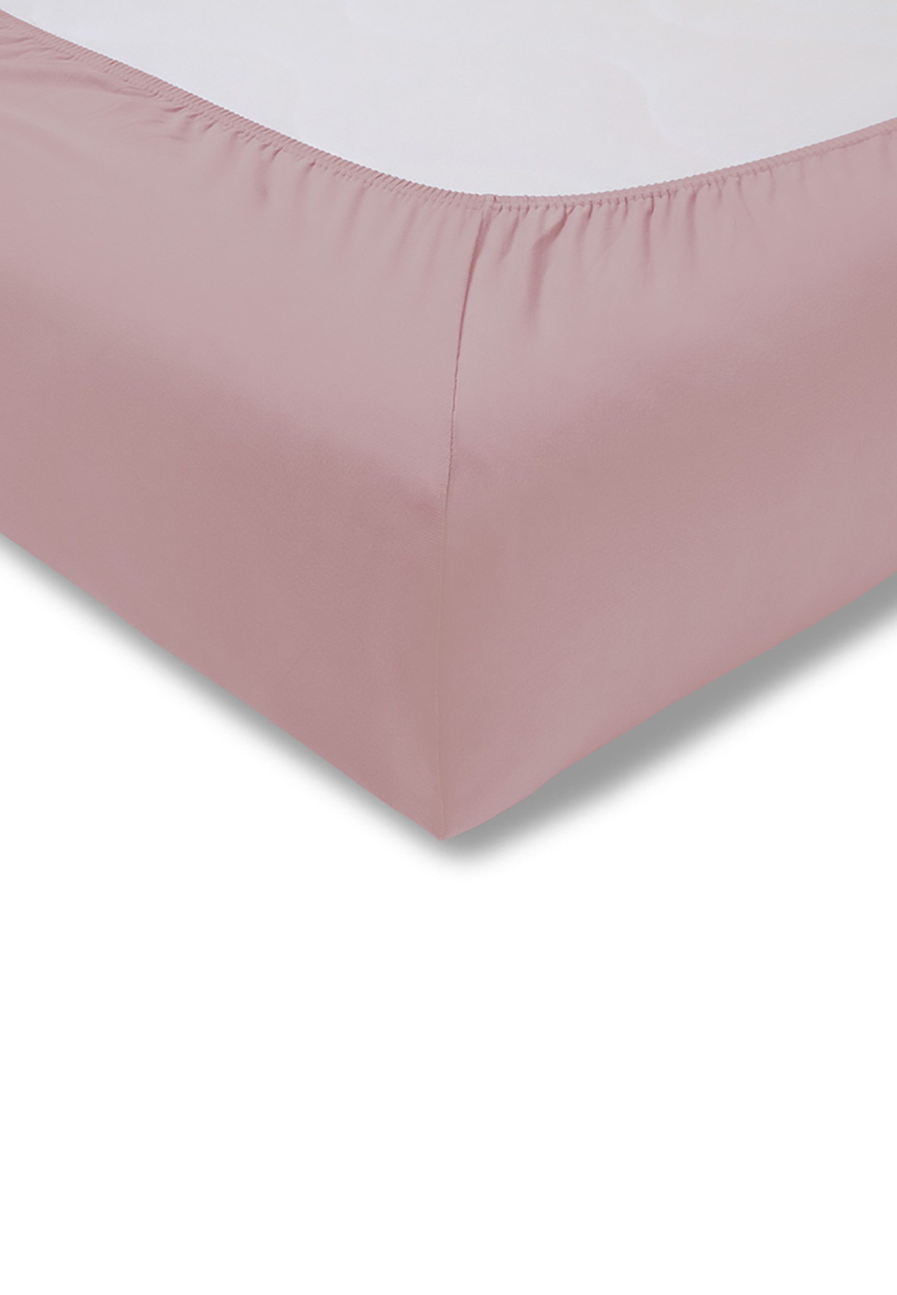 Estella Bettlaken Feinjersey, Jersey, Gummizug: rundum, günstig online kaufen