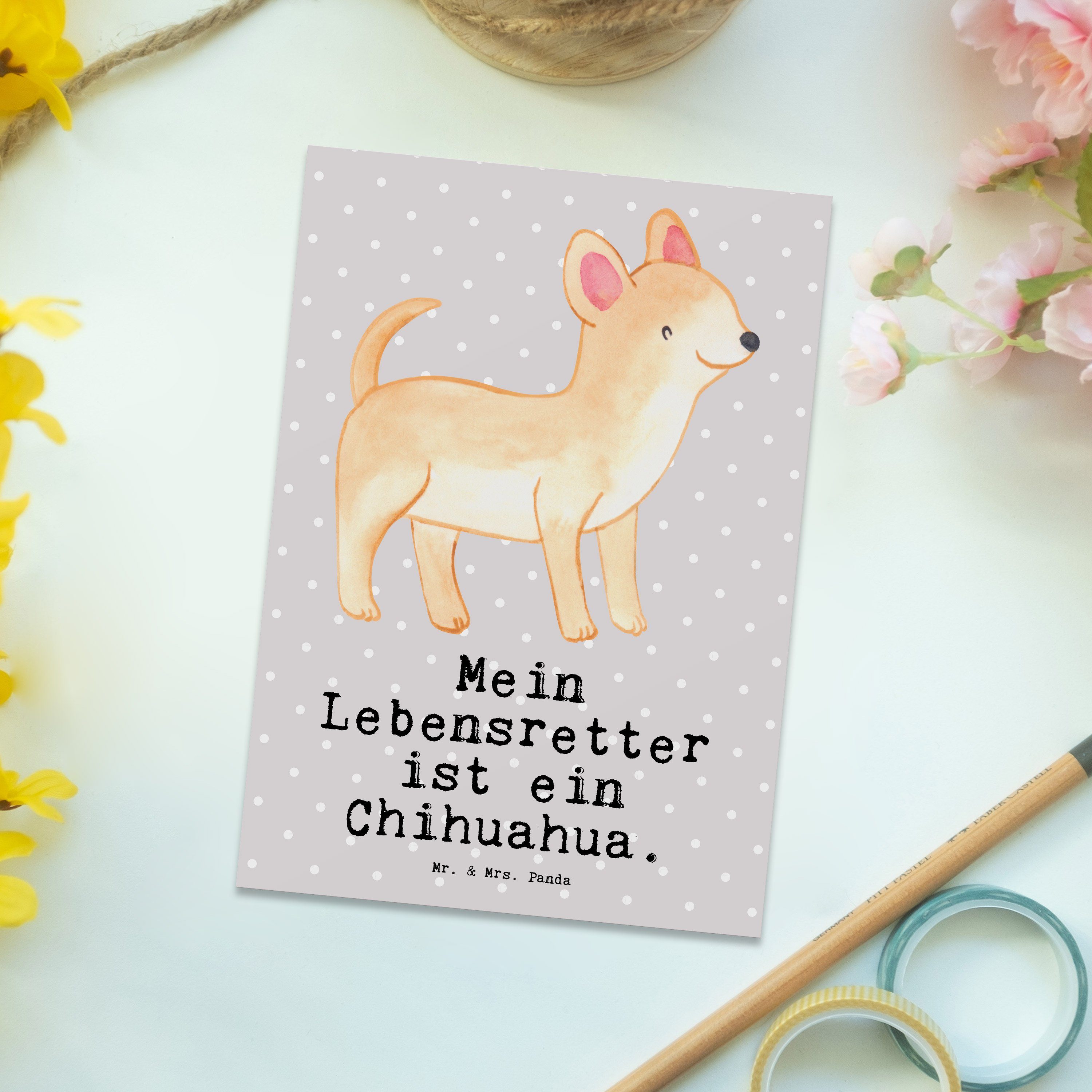 Mr. & Mrs. Panda H Geschenk, Geburtstagskarte, - - Postkarte Lebensretter Grau Pastell Chihuahua
