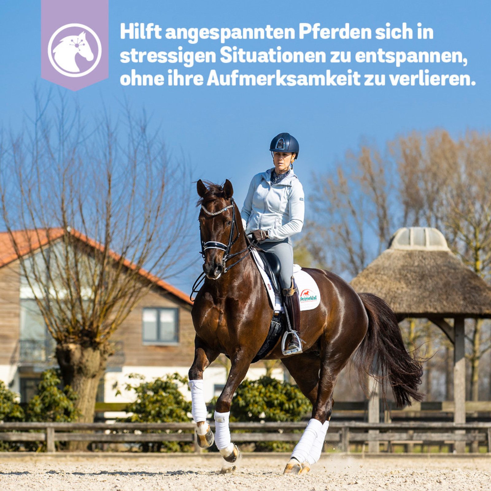 PrimeVal Stressless Paste für Pferde, beruhigendes Ergänzungsfuttermittel fü..., Ergänzungsfutter für: Pferde