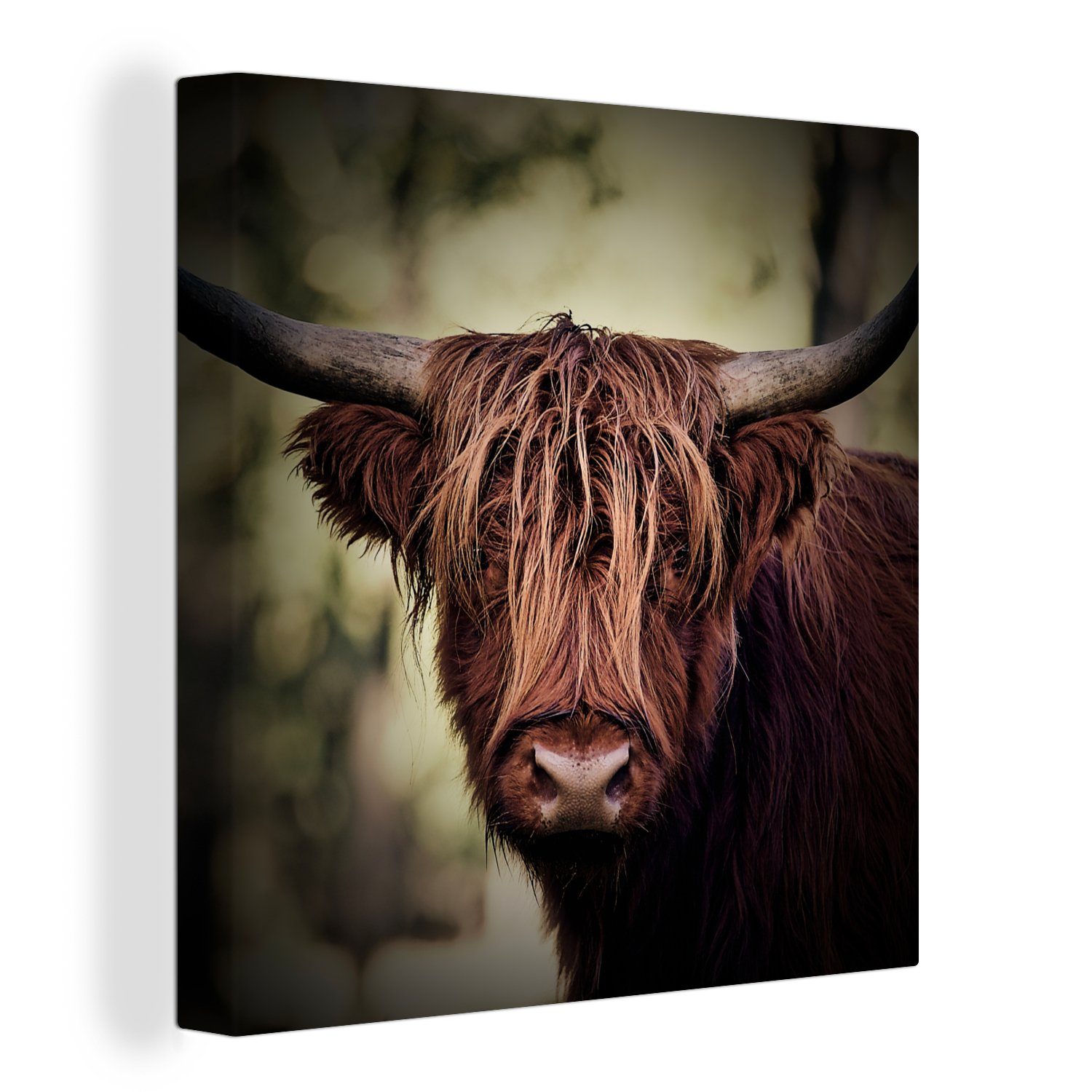 OneMillionCanvasses® Leinwandbild Schottischer Hochländer - Licht - Porträt - Natur, (1 St), Leinwand Bilder für Wohnzimmer Schlafzimmer bunt