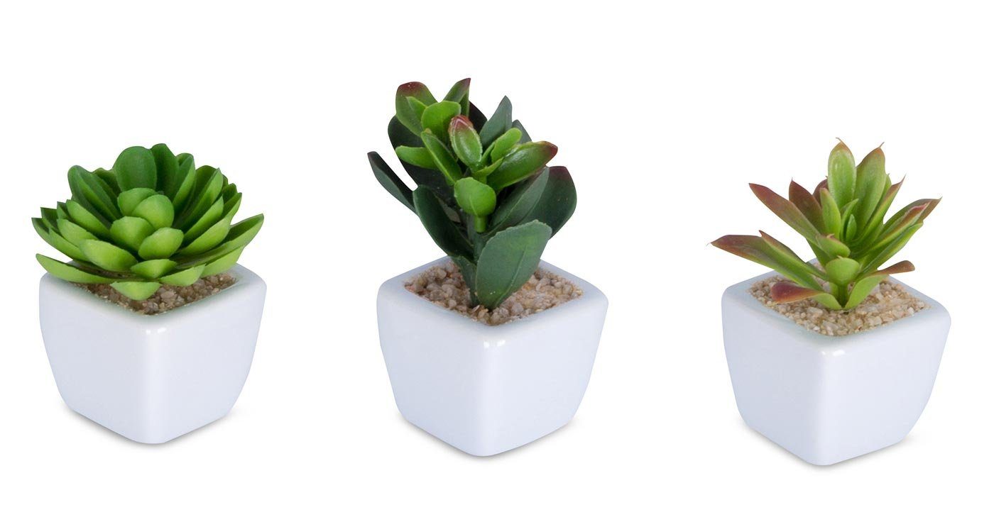 Weiß Grün 4,5x9cm x Kunstpflanze, Kunstpflanze Set 6er H Levandeo®, Kunstblume Sukkulenten B
