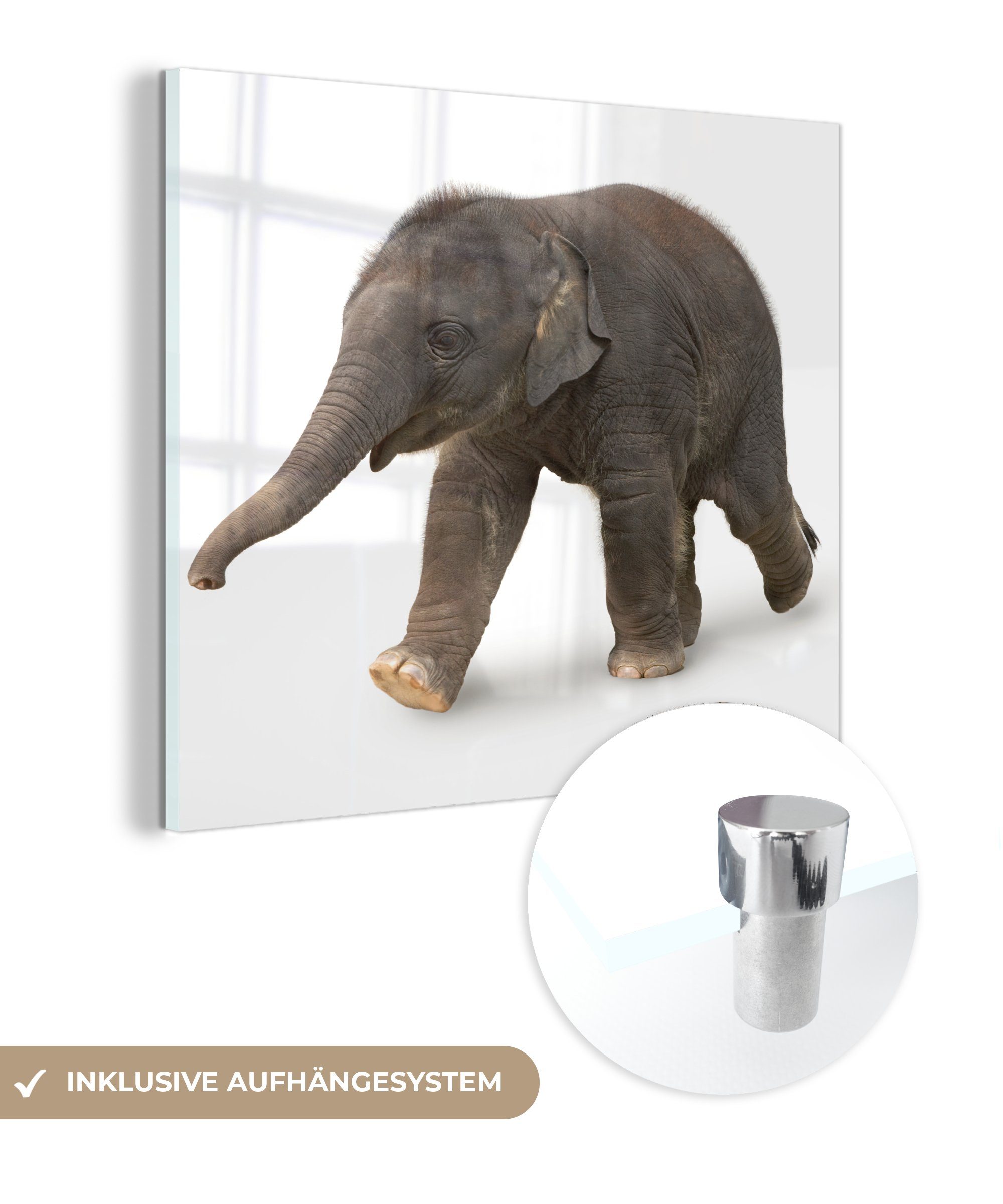 MuchoWow Glas bunt Acrylglasbild Glasbilder (1 - auf - Glas weißem Kleiner Hintergrund, Wanddekoration auf Foto Elefant St), - auf Bilder Wandbild