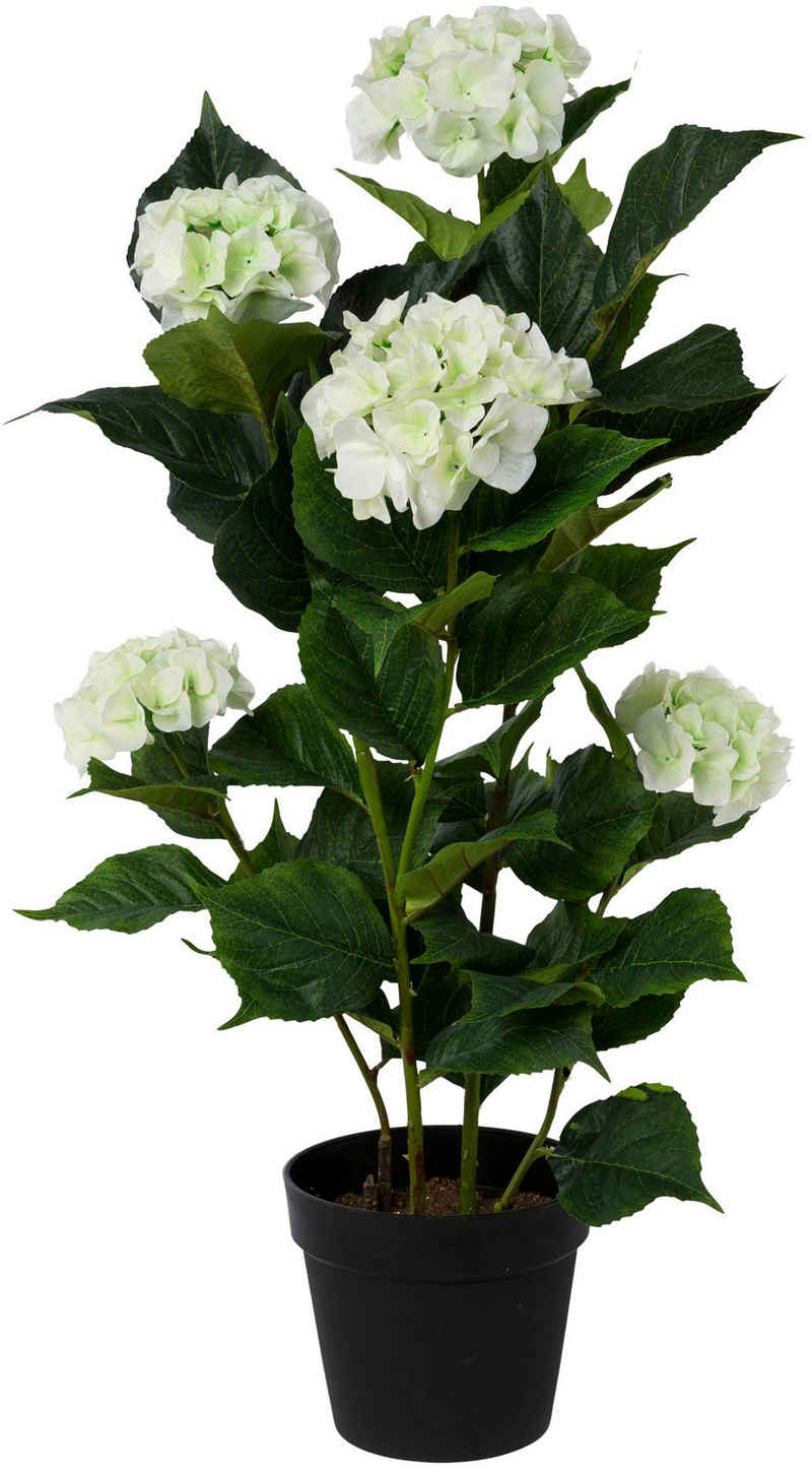 Kunstpflanze Hortensie, Creativ green, Höhe 92 cm, im Kunststofftopf