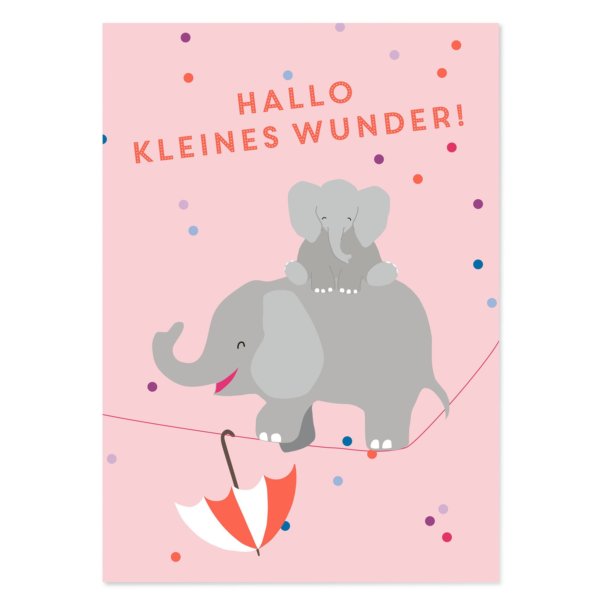 Bow & Hummingbird Geburt (Mädchen) Karte zur Geburt „Hallo kleines Wunder“ Baby Karte Mädchen Elefanten, aus 100% Recyclingpapier