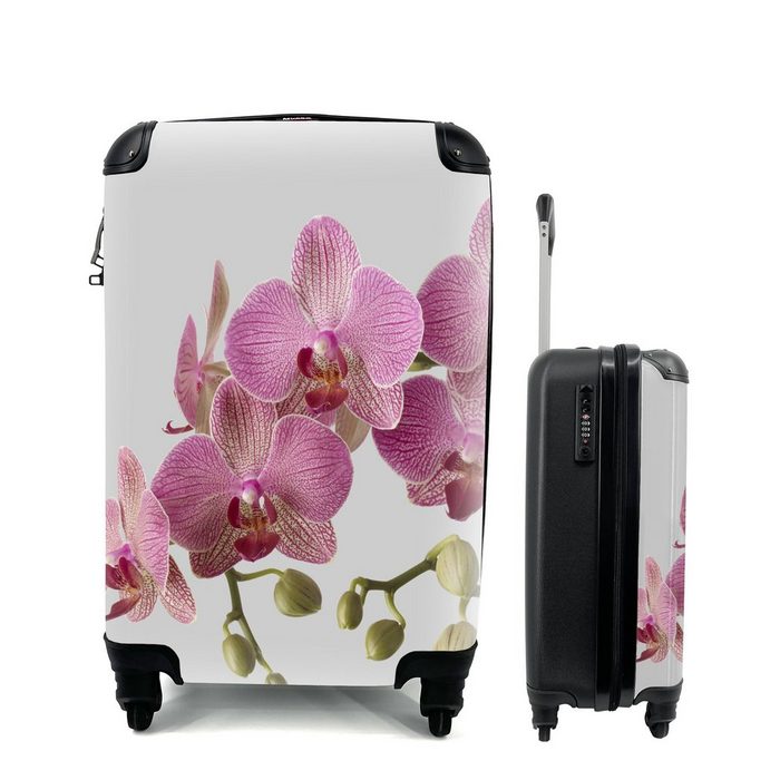 MuchoWow Handgepäckkoffer Orchideen auf grauem Hintergrund 4 Rollen Reisetasche mit rollen Handgepäck für Ferien Trolley Reisekoffer