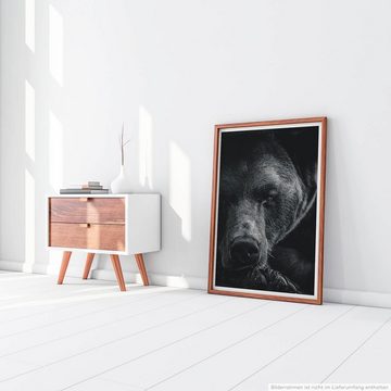 Sinus Art Poster 60x90cm Poster Tierfotografie  Porträt eines Braunbären schwarz weiß