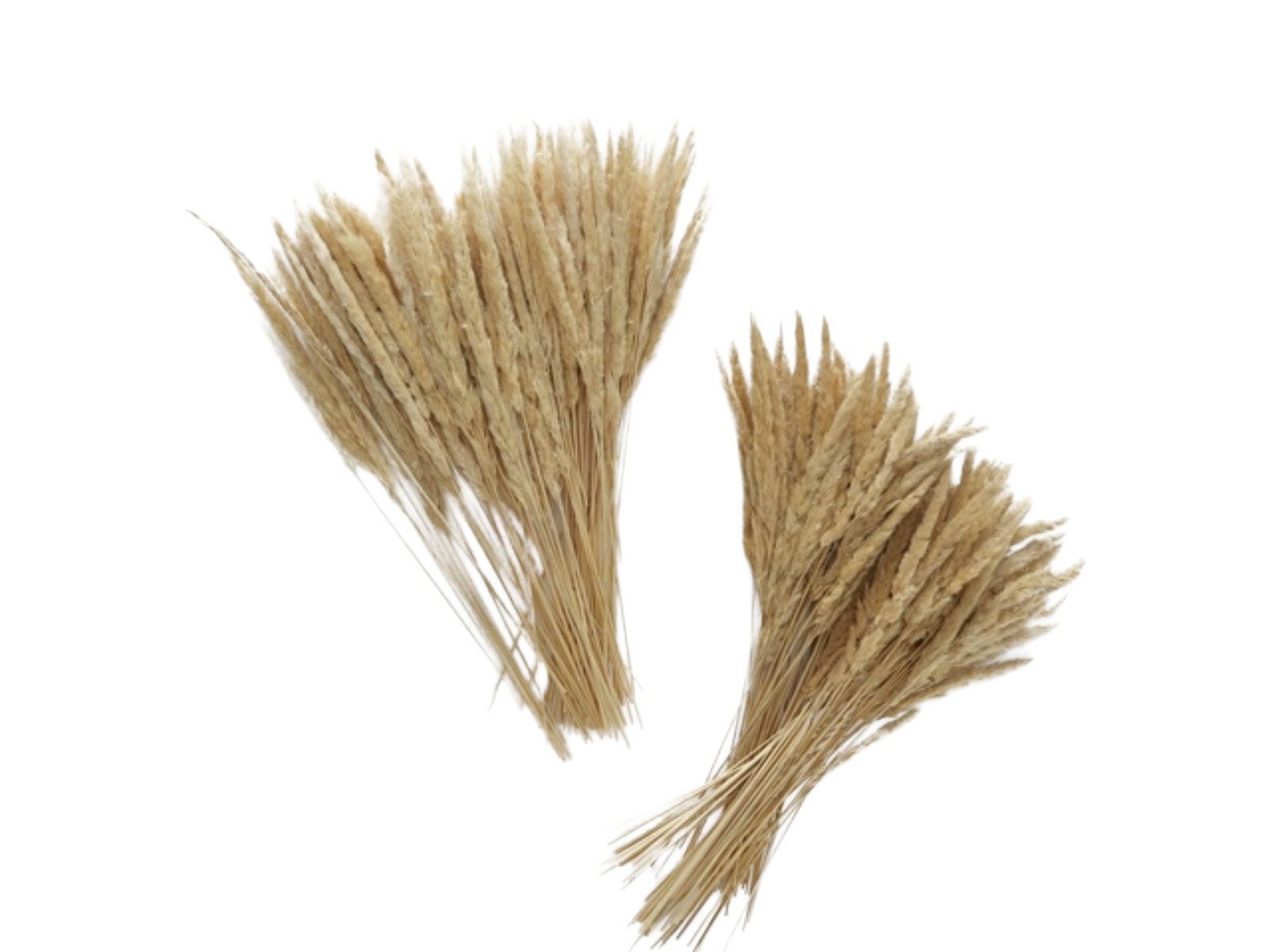 Kunstzweig Granos Dekozweig natur (1 Stück), BOLTZE, Höhe 40 cm