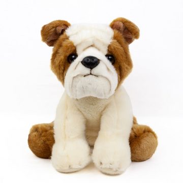 Teddys Rothenburg Kuscheltier Französische Bulldogge 26 cm sitzend braun-weiß Kuscheltier Hund