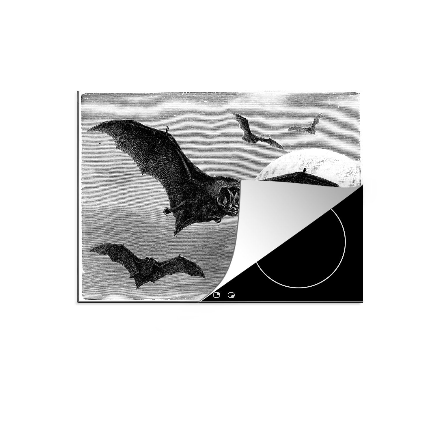MuchoWow Herdblende-/Abdeckplatte Illustration von vier Mobile cm, 70x52 Luft nutzbar, Vinyl, Ceranfeldabdeckung (1 und Fledermäusen weiß, der tlg), schwarz in Arbeitsfläche in