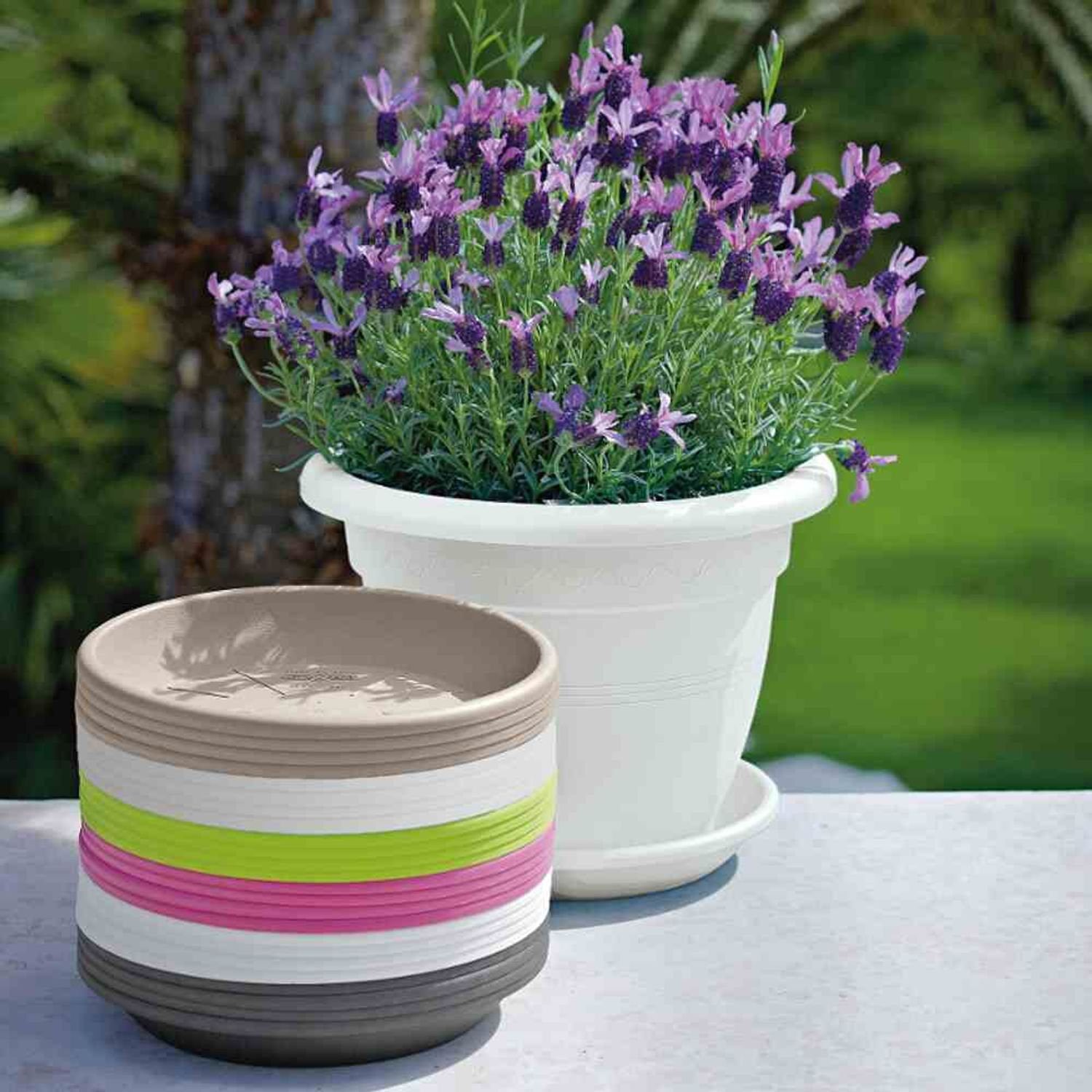 MEDEA euro3plast anthrazit Ø cm Untersetzer Blumentopfuntersetzer 32