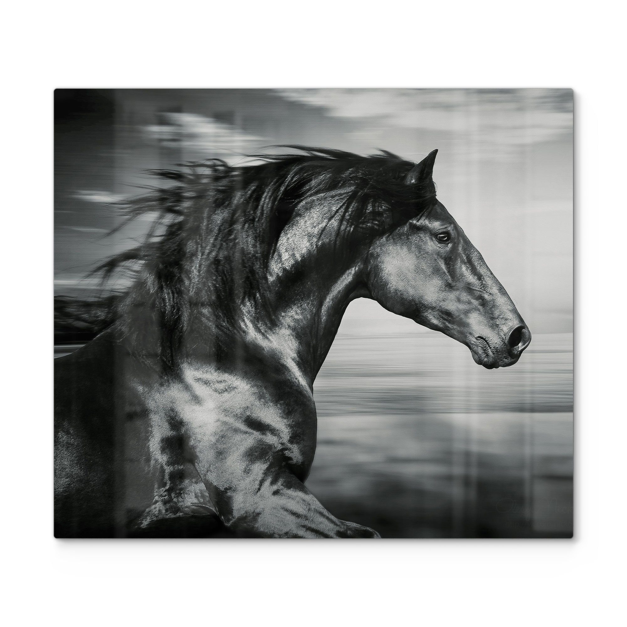 DEQORI Herdblende-/Abdeckplatte 'Galoppierendes Pferd', Glas, (1 tlg), Glas Herdabdeckplatte Ceranfeld Herd