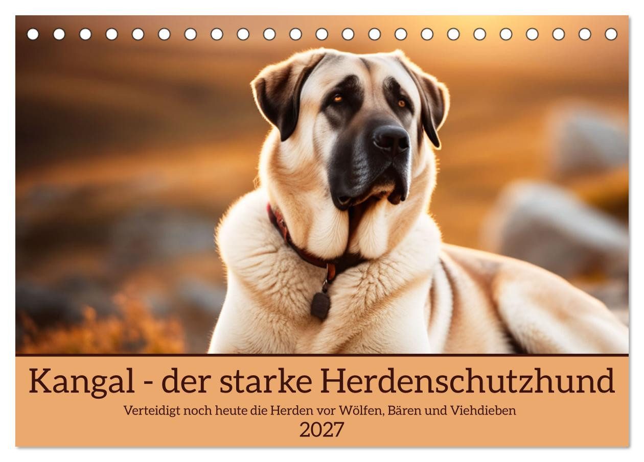 CALVENDO Wandkalender Kangal - der starke Herdenschutzhund (Tischkalender 2027 DIN A5 quer)