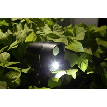 Technaxx HD-Aussenkamera mit LED-Lampe Smart Home Kamera (Aufnahme auf Speicherkarte, mit Batterie/Akku-Betrieb)