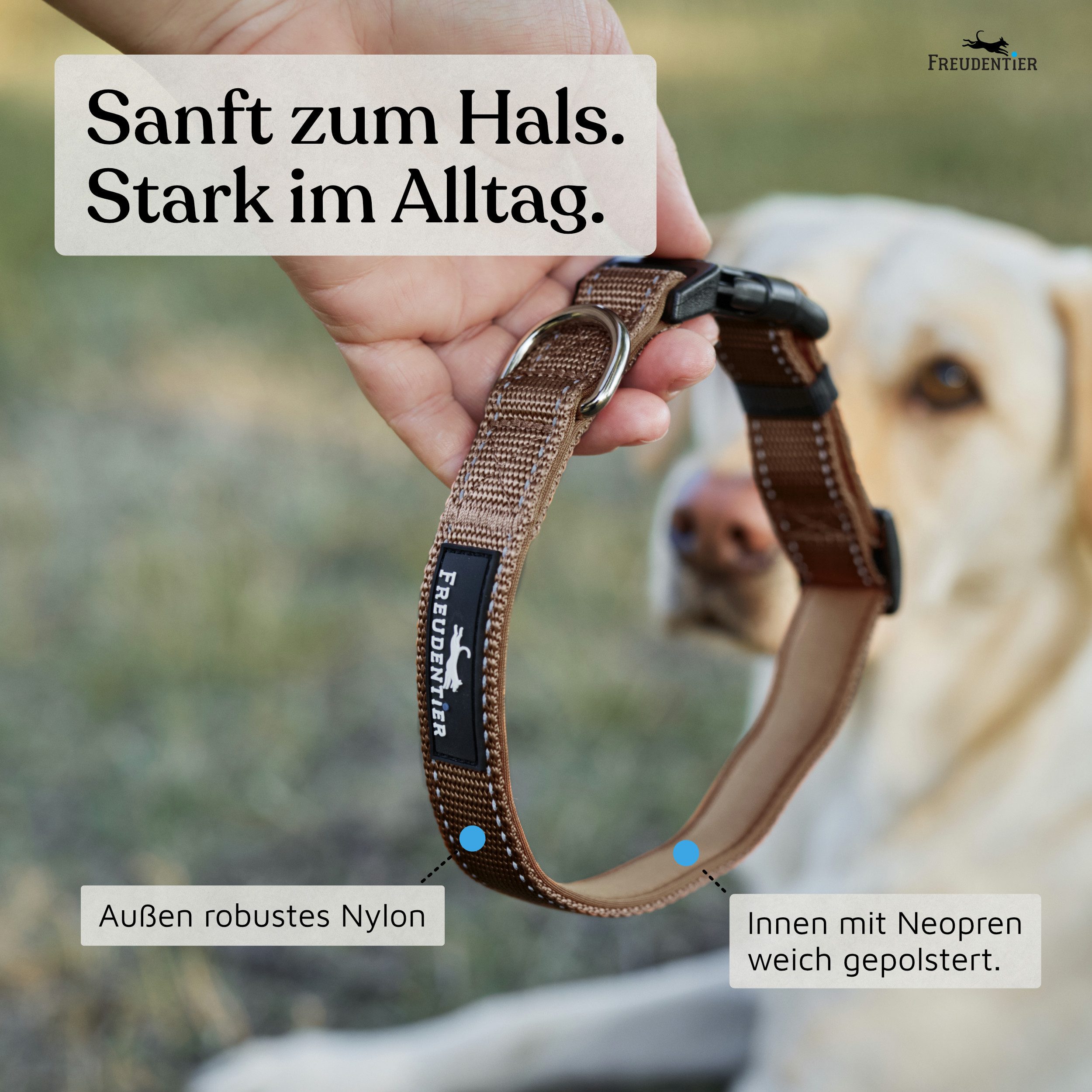 Freudentier Hunde-Halsband Hundehalsband - gepolstert & reflektierend - Clyde Kollektion