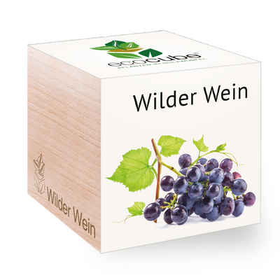 Feel Green Blumenerde Ecocube Wilder Wein von Feel Green, Nachhaltige Geschenkidee, (1-St)