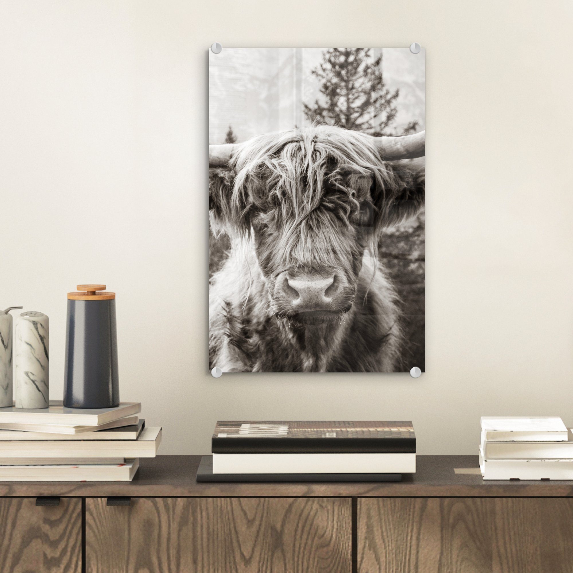 MuchoWow Acrylglasbild Schottischer Highlander - Kuh günstig online kaufen