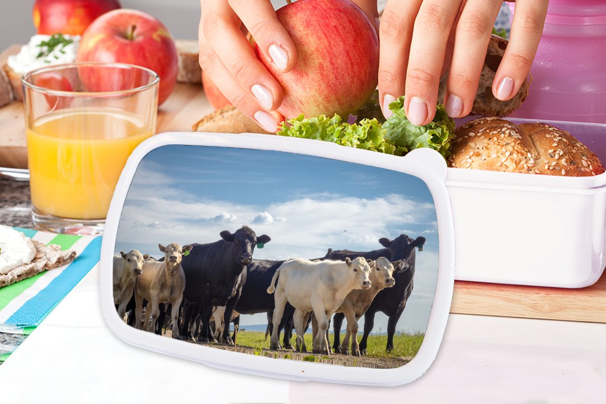 MuchoWow Lunchbox Tiere - Kuh Brotdose, für für Brotbox und Kinder (2-tlg), Jungs - Kunststoff, weiß Luft, Mädchen Erwachsene, und