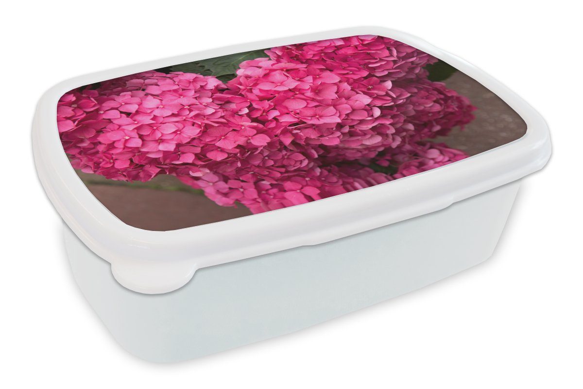 MuchoWow Lunchbox Nahaufnahme rosa Hortensienblüten, Kunststoff, (2-tlg), Brotbox für Kinder und Erwachsene, Brotdose, für Jungs und Mädchen weiß