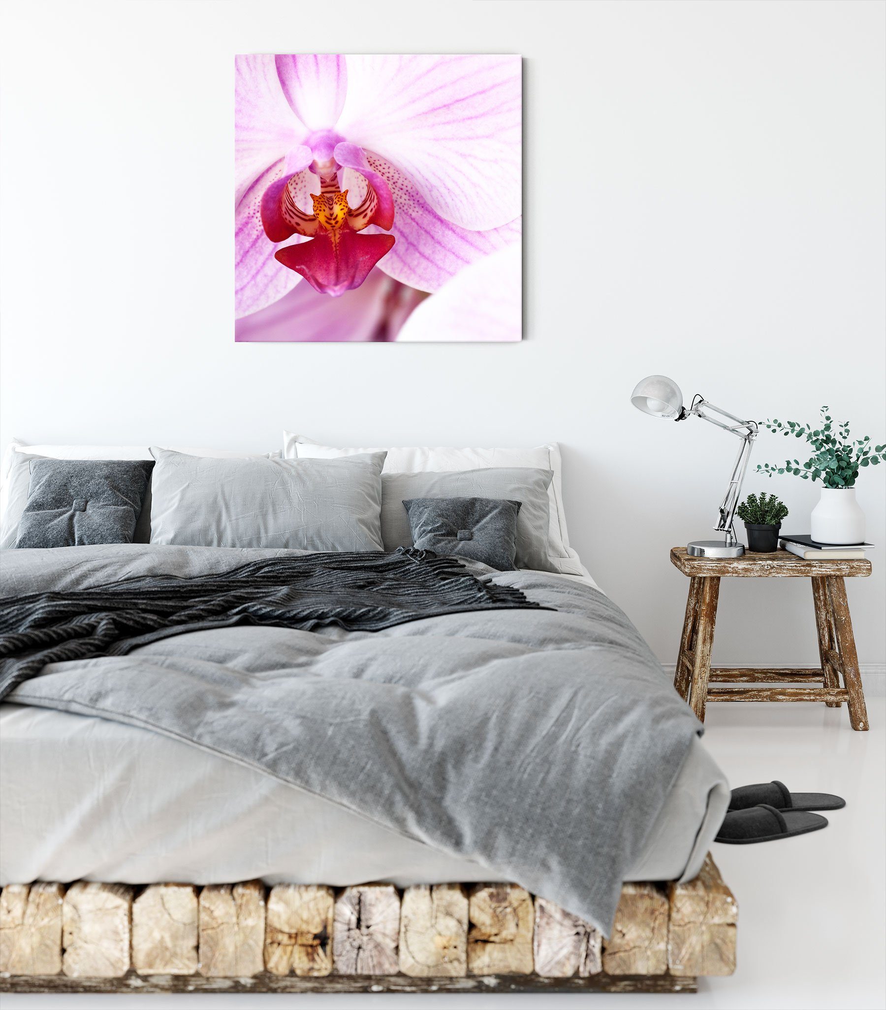 inkl. (1 bespannt, Pixxprint Zackenaufhänger Rosa Leinwandbild Prächtige Orchidee Rosa Prächtige Orchidee, Leinwandbild fertig St),